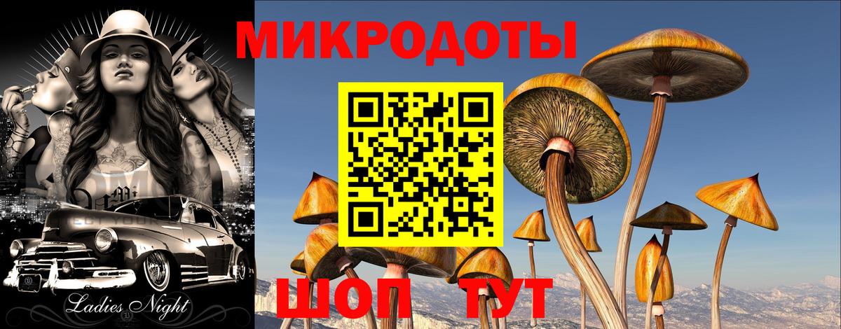 Канск  Галлюциногенные грибы Magic Shrooms  Вход с VPN  Галлюциногенные грибы прущие грибы 